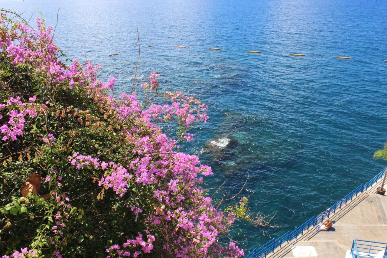 Apartments Madeira Old Town Funchal  Exterior photo